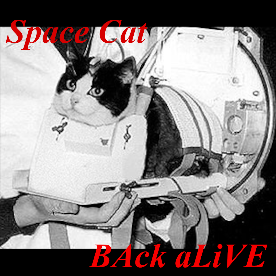 Space Cat BAck aLiVE