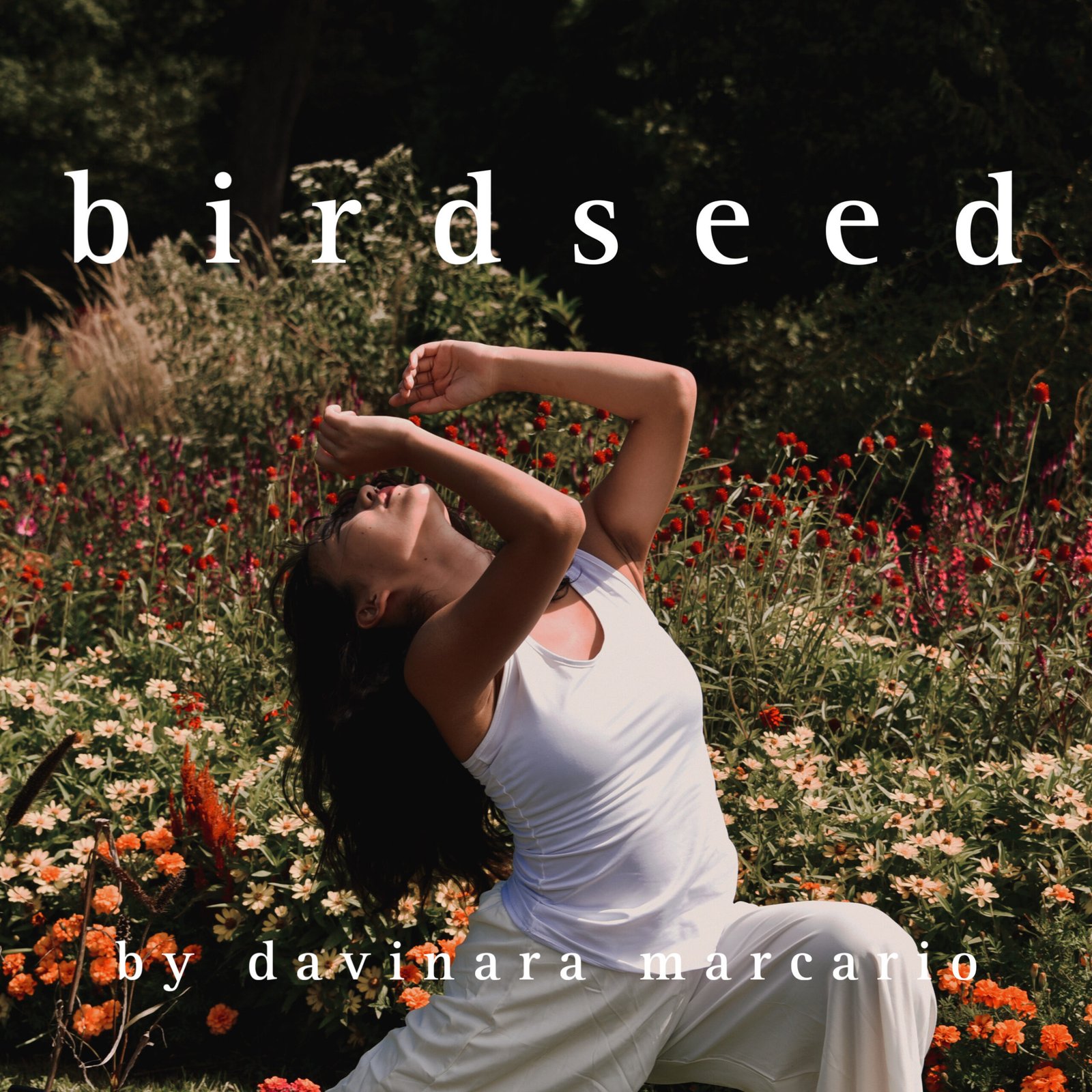 birdseed