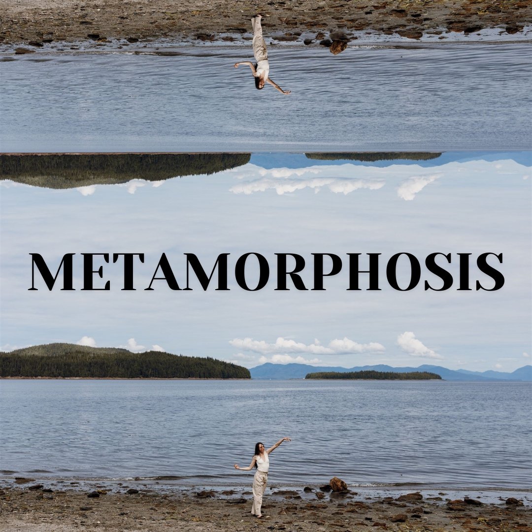 Metamorphisis