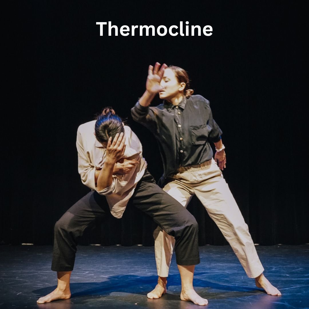 Thermocline