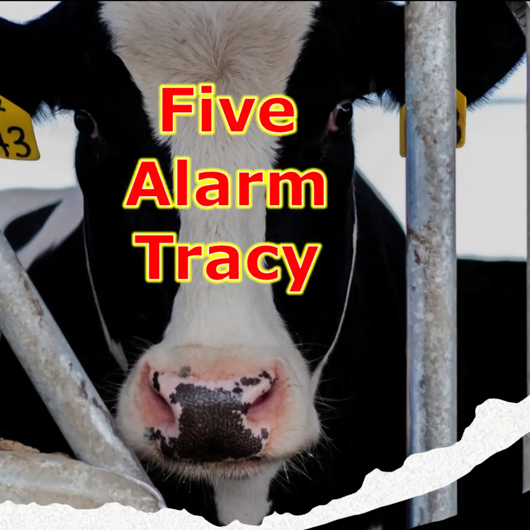 Five Alarm Tracy